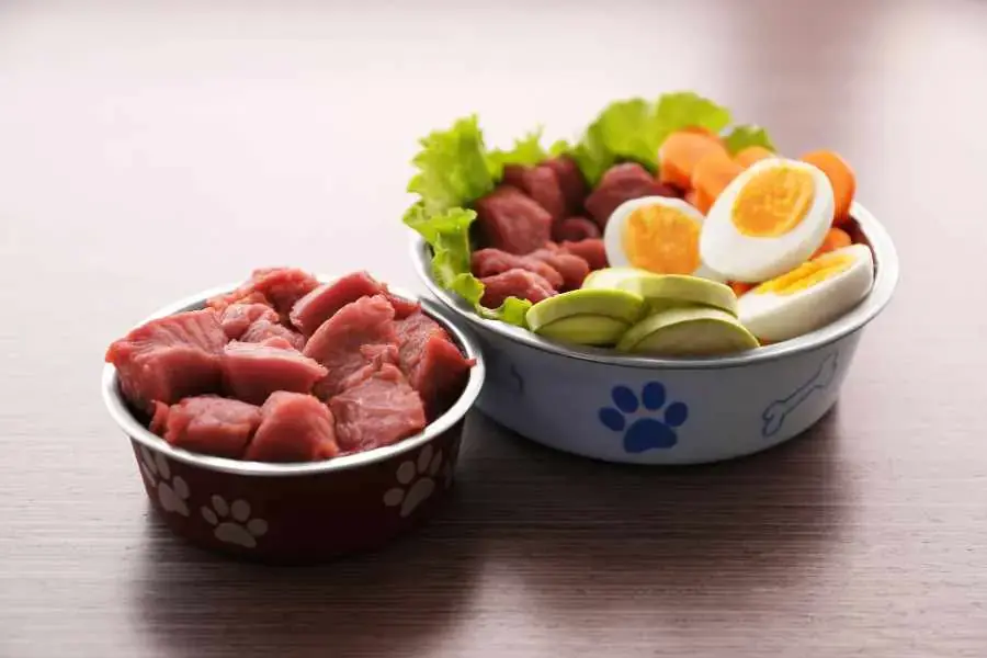 Các loại sữa bột, sữa trẻ em, sữa đặc,... đều có thể khiến Phốc Sóc bị nôn, tiêu chảy,...