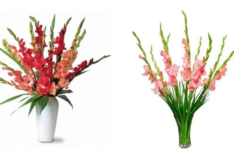 Cắm hoa lay ơn cho bàn thờ đơn giản nhưng cũng rất trang trọng.