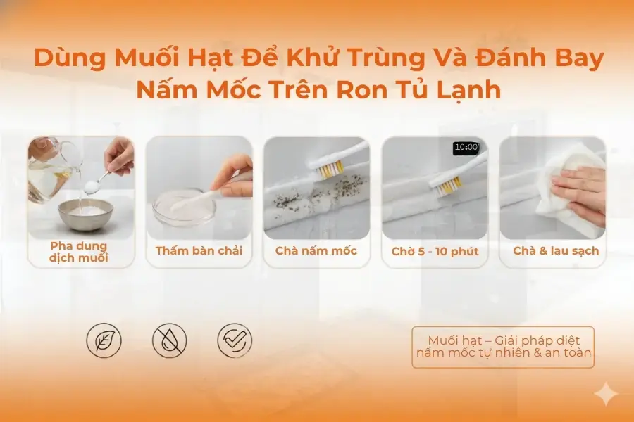 Cách vệ sinh ron tủ lạnh bằng dung dịch muối loãng.