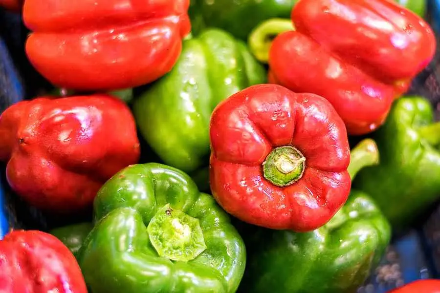 Ớt chuông chứa nhiều vitamin tốt cho trẻ nhỏ một lựa chọn đúng cho mẹ khi bé trong quá trình ăn dặm.
