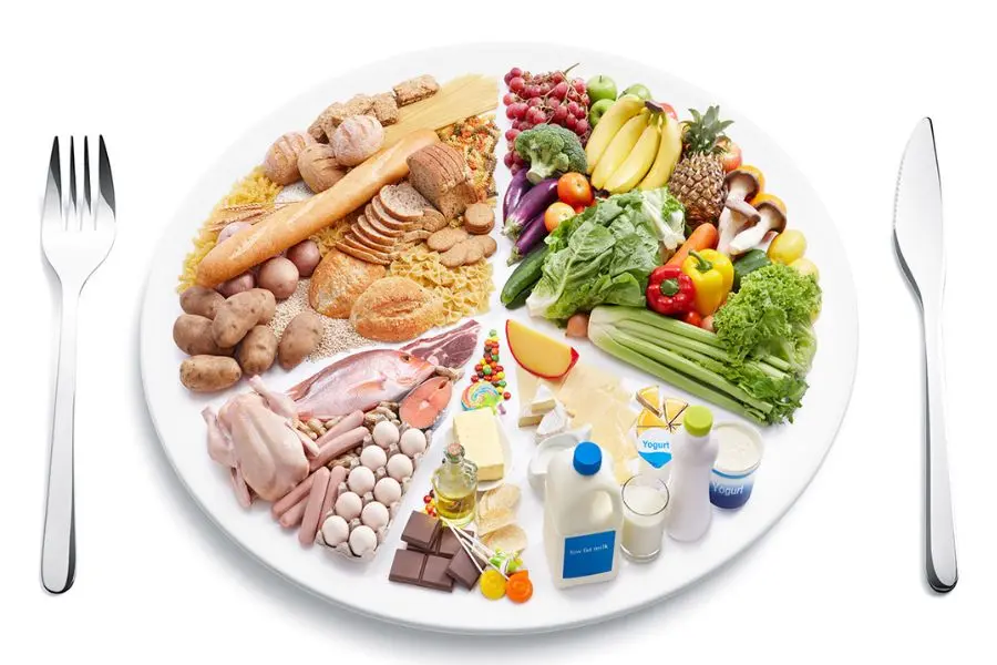 Món ngon cho bé 2 tuổi biếng ăn cần sự đa dạng nhất định.