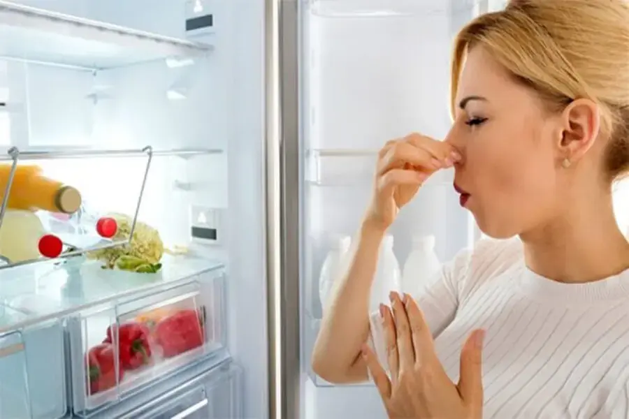 Nếu ngắt điện tủ lạnh sẽ làm thực phẩm bị ôi thiu (Nguồn: hc.com.vn)