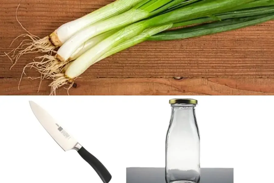 Ưu điểm của phương pháp này là không cần đất