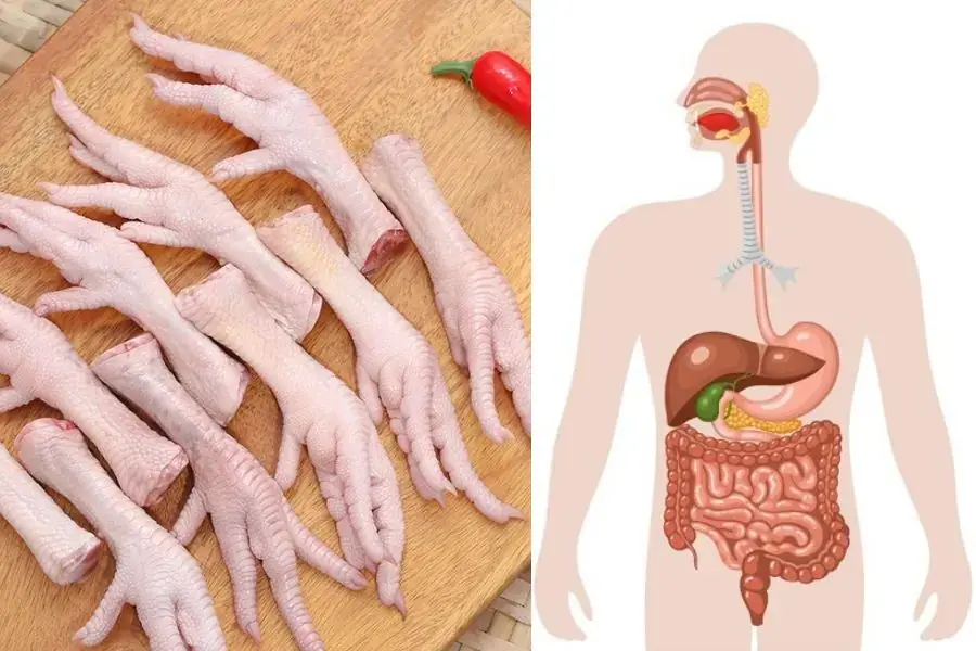 Ăn chân gà giúp cải thiện tình trạng táo bón.