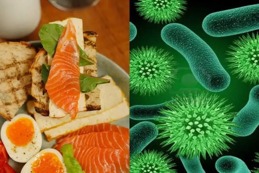 Vi khuẩn sẽ không có khả năng xâm nhập vào cơ thể nếu bổ sung cá hồi vào thực đơn ăn uống.