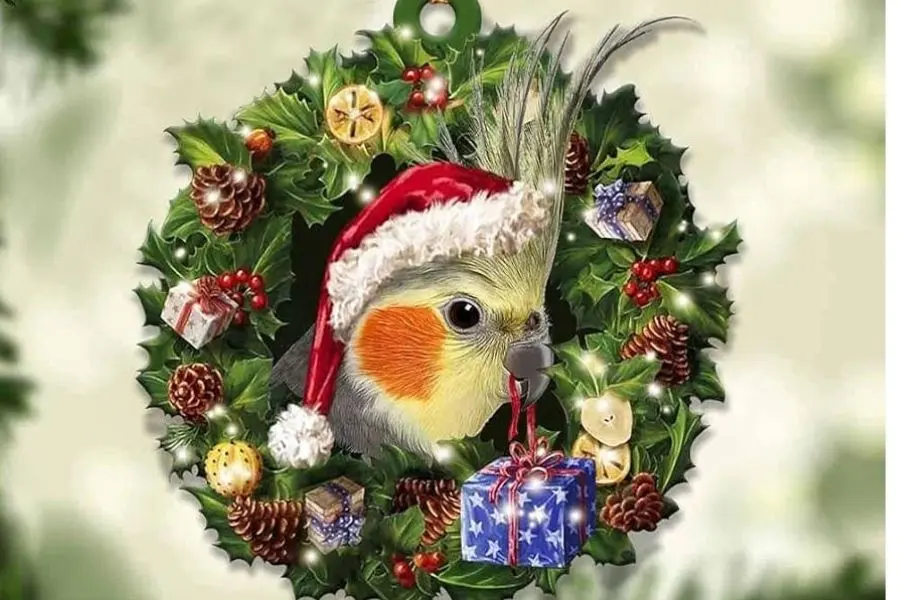 Vòng nguyệt quế có thể treo trên cửa sổ để làm đẹp phòng khách dịp Noel.