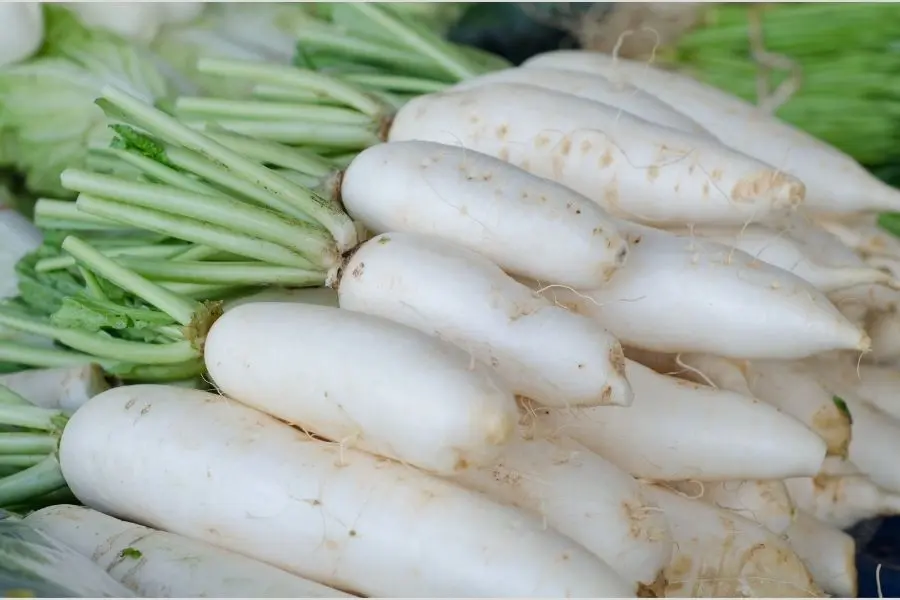 Củ cải trắng