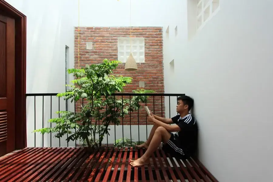Cây ngọc lan trồng giếng trời giúp thanh lọc không khí hiệu quả