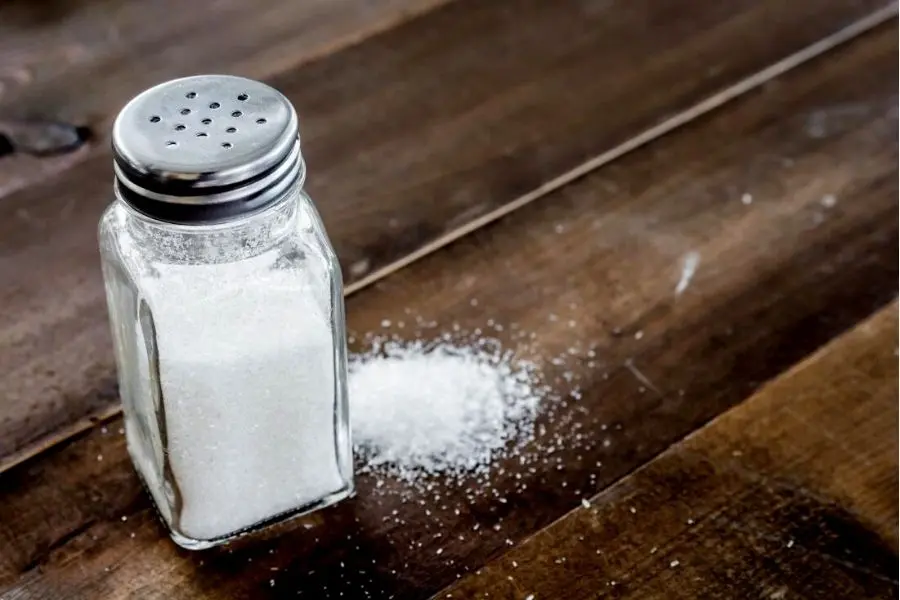 Dùng mối để đuổi kiến ra khỏi nhà