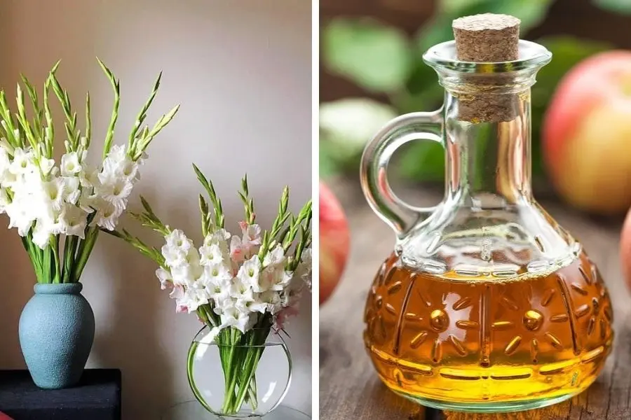 Giấm táo cũng có tác dụng giữ hoa tươi lâu.