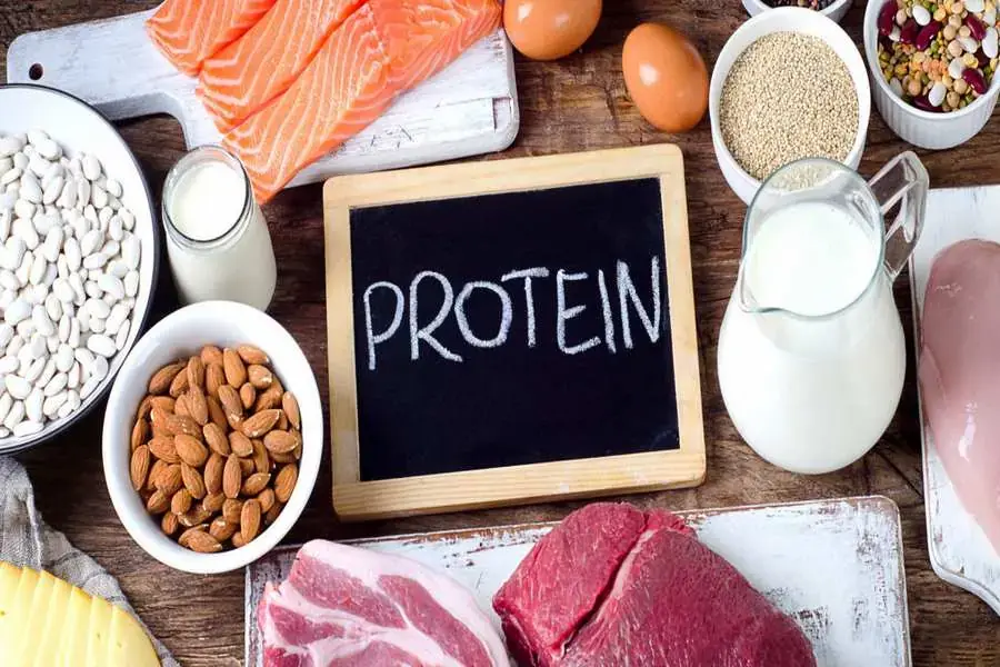 Ăn đầy đủ thực phẩm có chứa chất xơ và protein 