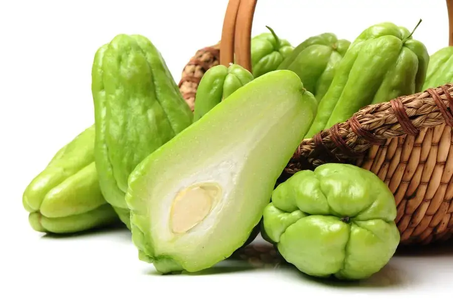 Su su giúp tạo cảm giác no lâu