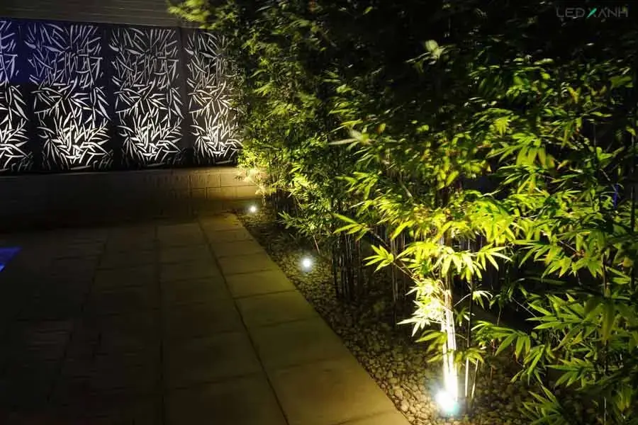 Đèn gắn dưới gốc cây hắt sáng lên