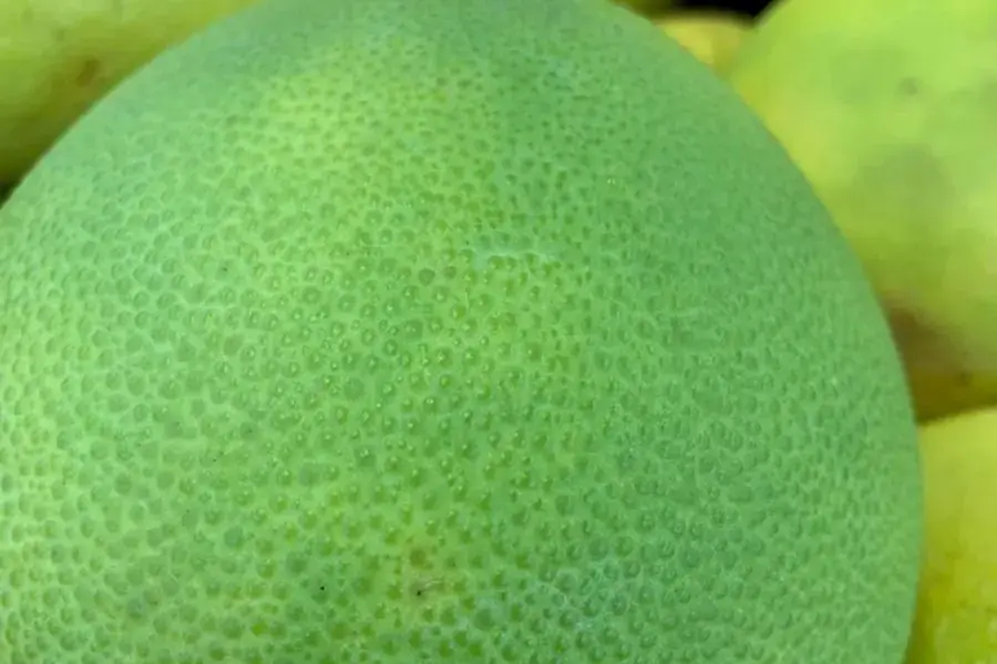 Da bưởi Trúc Bạch