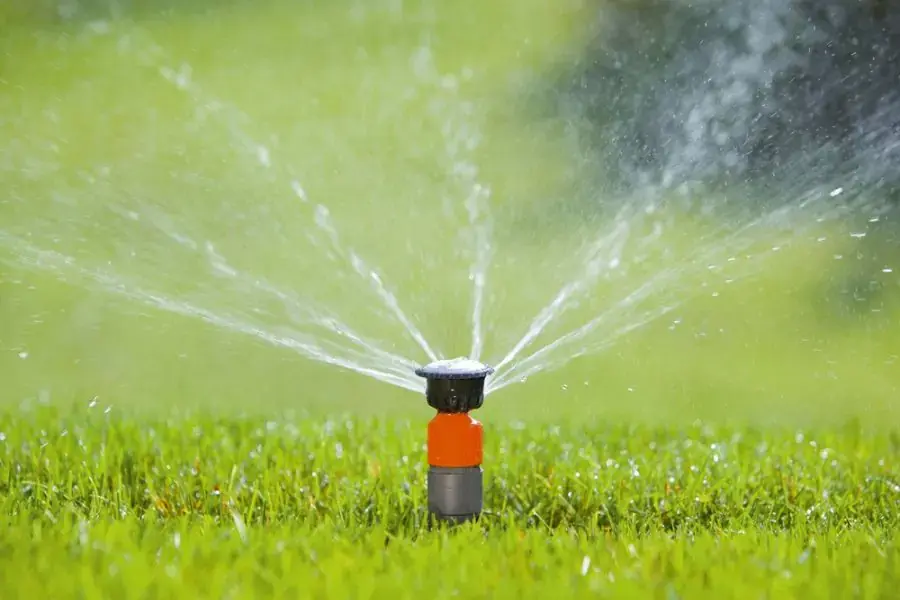 Mèo rất ghét bị ướt nên khi dùng thiết bị phun nước thì mèo hoang sẽ tránh xa nhà của bạn