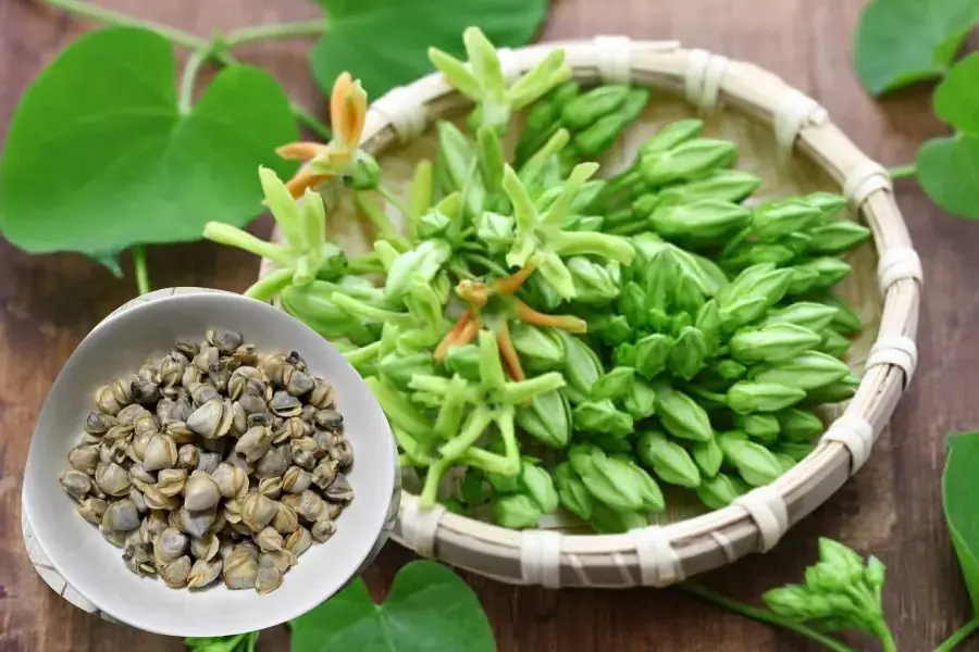 Hoa thiên lý có tính mát xào chung với hến có vị ngọt tự nhiên