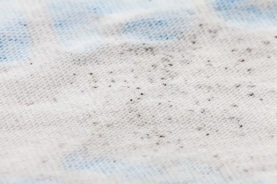 Vết mốc trên quần áo
