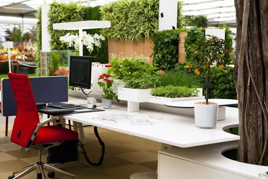 Không gian xanh trong thiết kế văn phòng 20m2