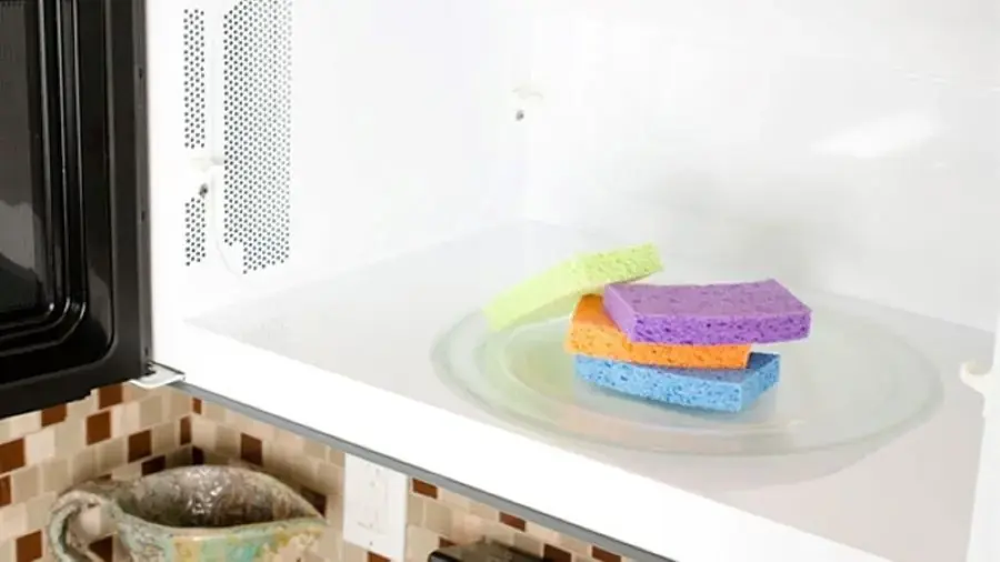 Cho miếng rửa chén ướt vào lò vi sóng và bật nhiệt độ cao (ảnh: bachhoaxanh.com)