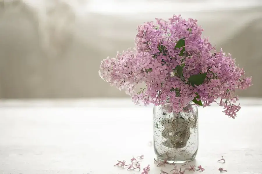 Thêm đường vào nước cắm sẽ giúp hoa tươi lâu hơn.