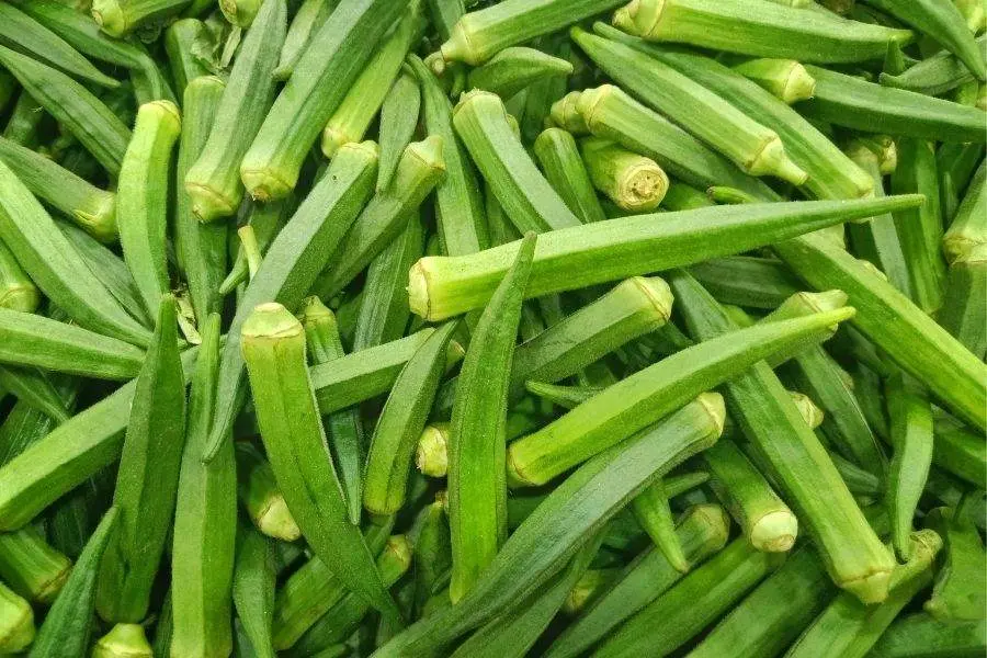 Chọn đậu bắp có độ dài không quá 10cm