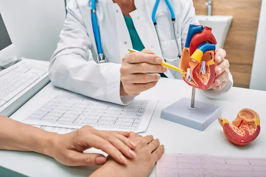 Hệ tim mạch sẽ bị suy yếu khi về già