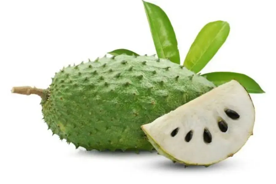 Mãng cầu chứa hàm lượng vitamin C dồi dào