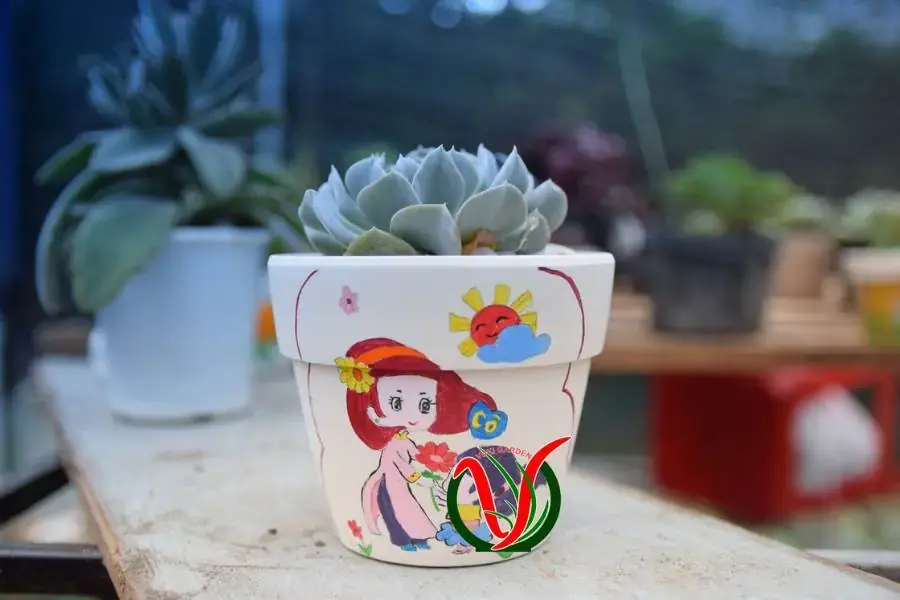 Dùng màu nước vẽ trang trí chậu cảnh hoa sen đá