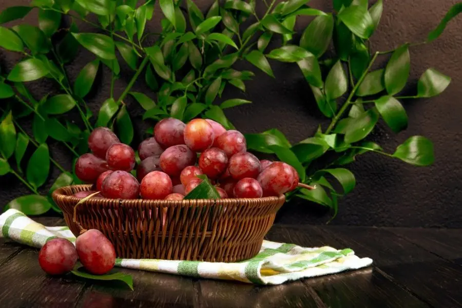 Mận Bắc có thể chế biến thành nhiều món ăn vặt khác nhau.