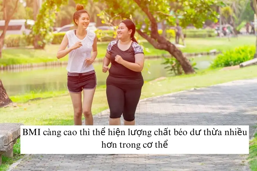 BMI càng cao thì thể hiện lượng chất béo dư thừa nhiều hơn trong cơ thể.