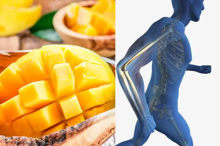 Xoài giảm thiểu nguy cơ mắc bệnh loãng xương ở tuổi già