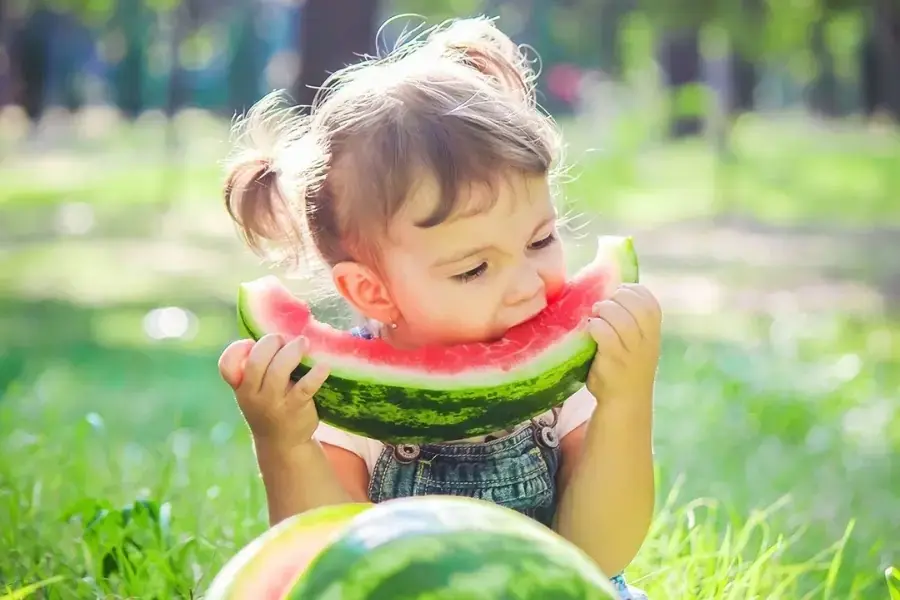 Nên ăn cả hạt và lớp cùi trắng của dưa hấu