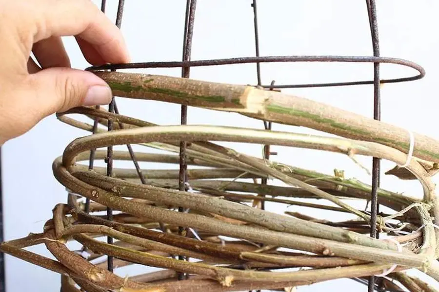 Quấn dây rừng thật chắc chắn thành từng khoanh xung quanh khung.