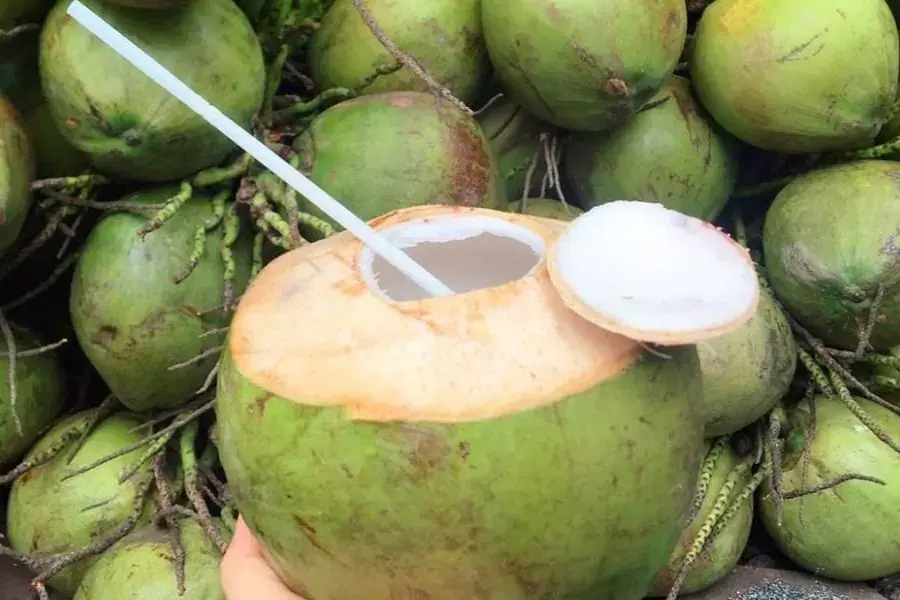 Uống dừa tốt cho hệ tiêu hóa