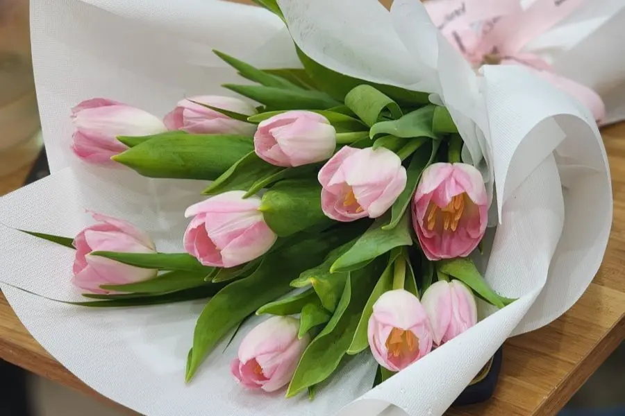 Hoa Tulip tượng trưng cho sự thanh lịch, hoàn hảo và thịnh vượng
