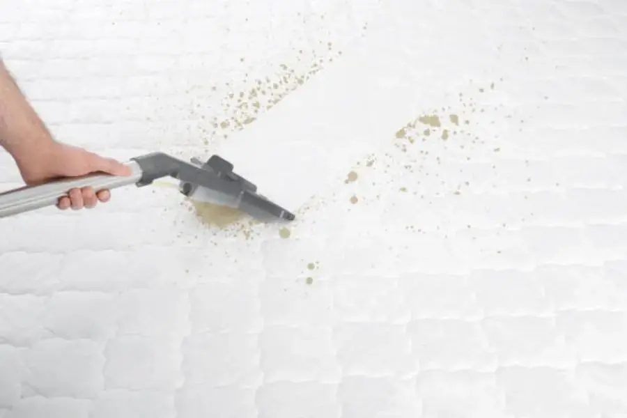 Dùng hóa chất chuyên dụng để tẩy sạch vết bẩn