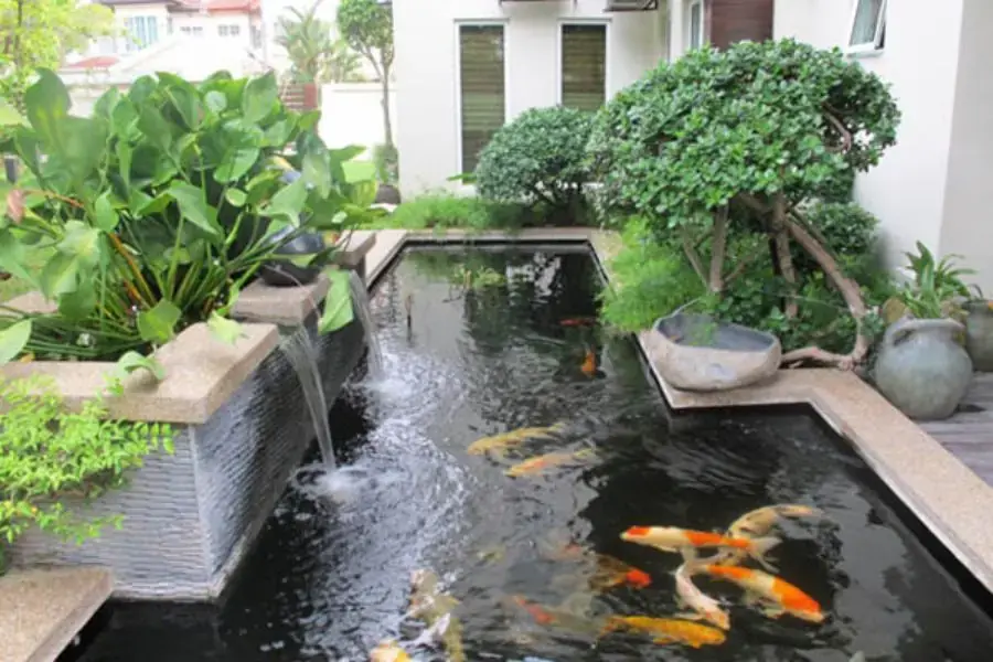Cây cảnh cỡ lớn sẽ mang lại bóng mát cho không gian hồ.