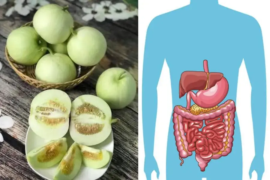 Chất xơ dồi dào trong dưa lê sẽ giúp quá trình tiêu hóa diễn ra trơn tru hơn.