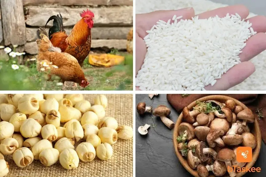 Một số nguyên liệu làm món gà bó xôi chiên