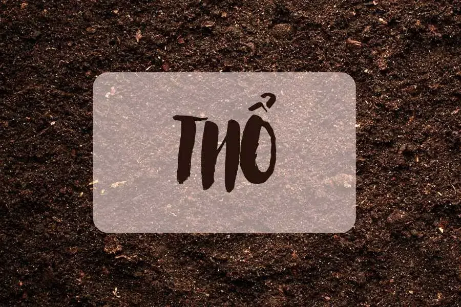 Mệnh thổ tượng trưng cho đất đai