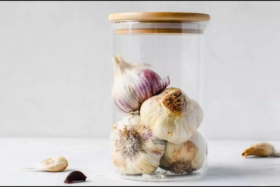 Bảo quản tỏi đen