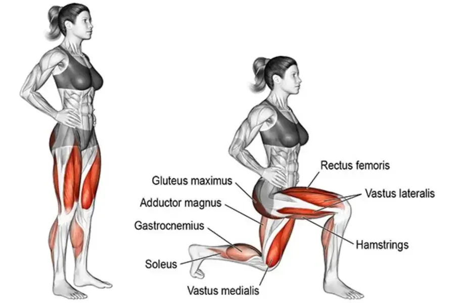 Lunges là bài tập mang nhiều công dụng giảm cân