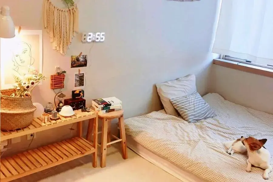 Sử dụng những món đồ decor nhỏ nhắn, tinh tế cho phòng trọ kiểu Hàn Quốc