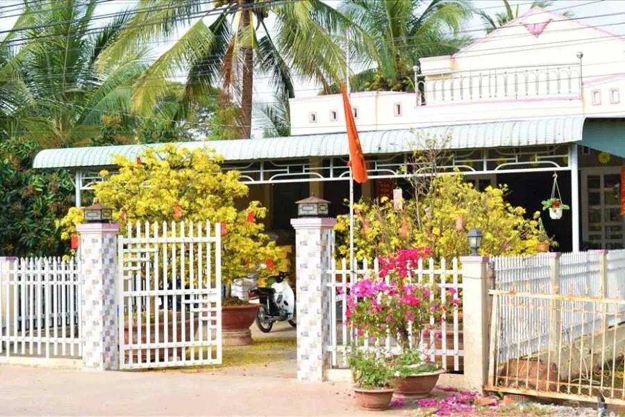Trang trí cổng ngày Tết với cây hoa mai tươi thắm