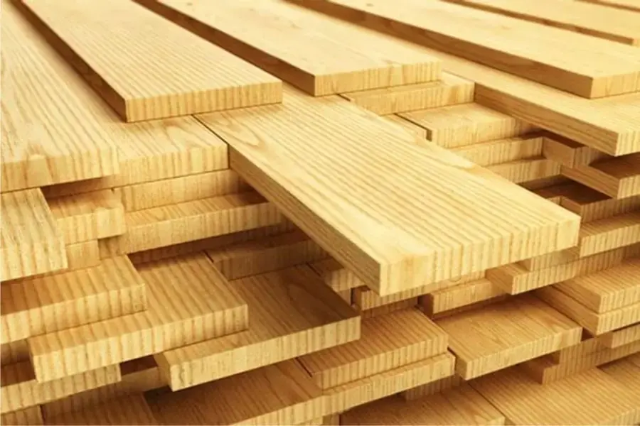 Cây Xoan Đào là cây thân gỗ thuộc họ cây hoa hồng 