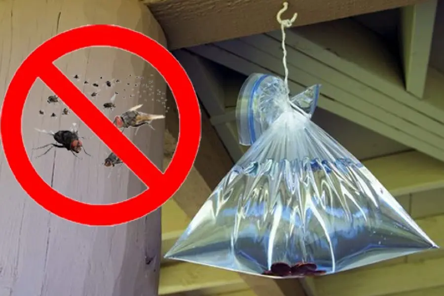 Túi đựng nước giúp đuổi ruồi