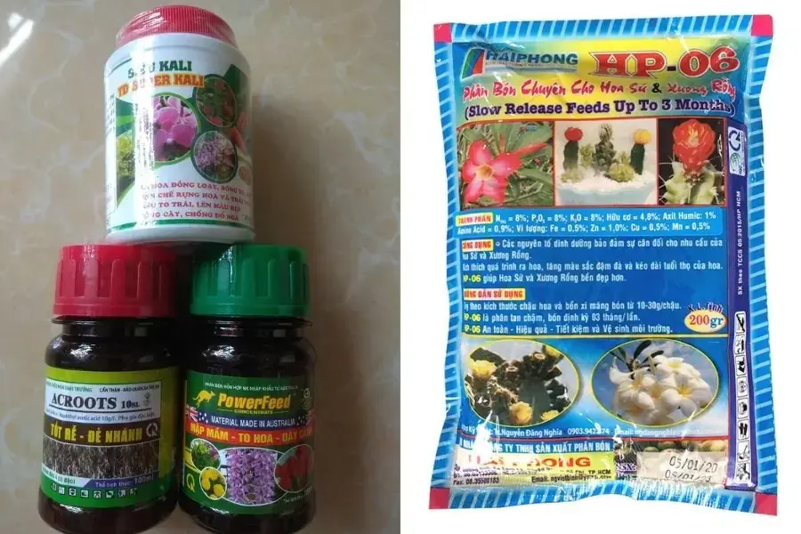 Sử dụng phân bón để chăm sóc cây