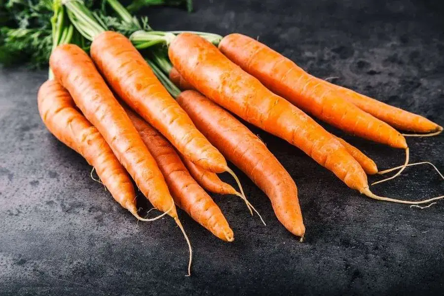 Cà rốt tươi ngon có màu cam đậm.