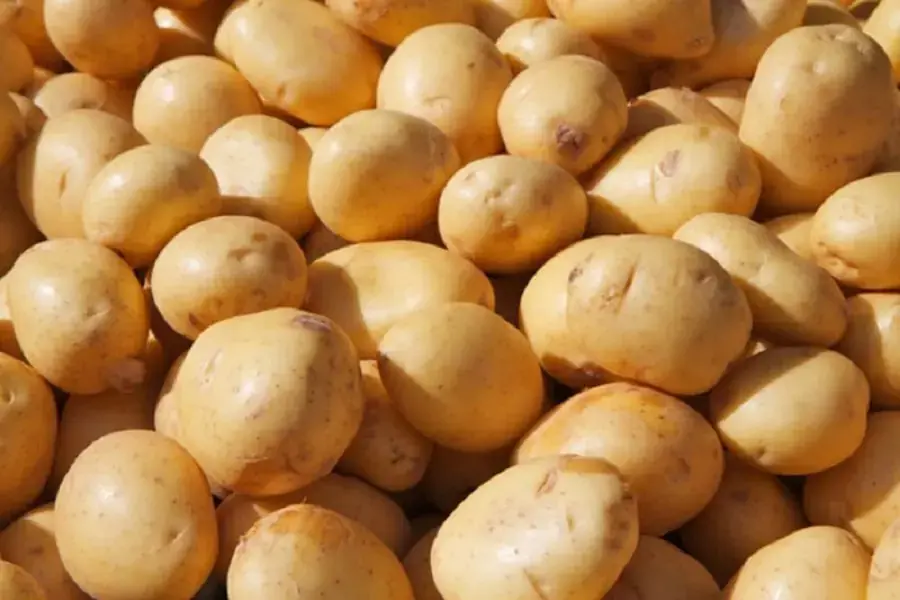Làm sạch chảo chống dính bằng khoai tây ( Nguồn: Thanh Niên)