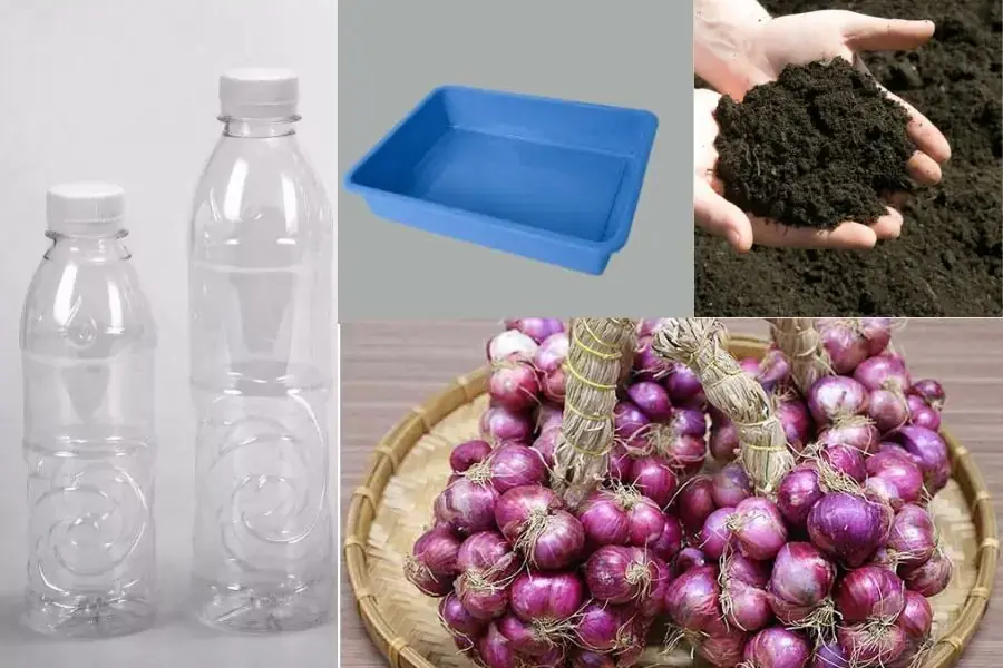 Chuẩn bị những nguyên liệu để trồng hành lá